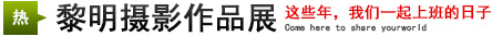 攝影展：這些年，我們一起上班的日子